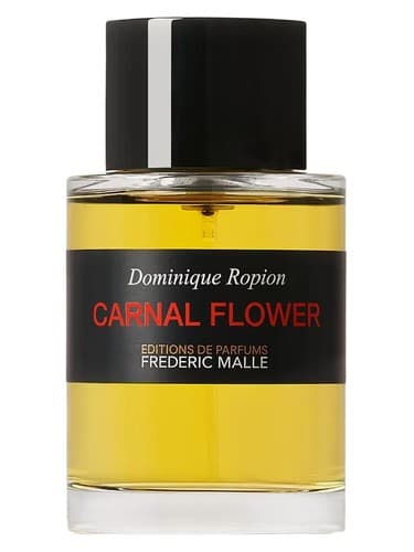 Carnal Flower - کارنال فلور